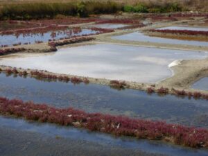 soin corps naturel, soins naturels visage, Guérande Cosmétiques 