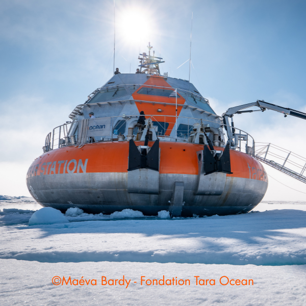 TaraOcéan4